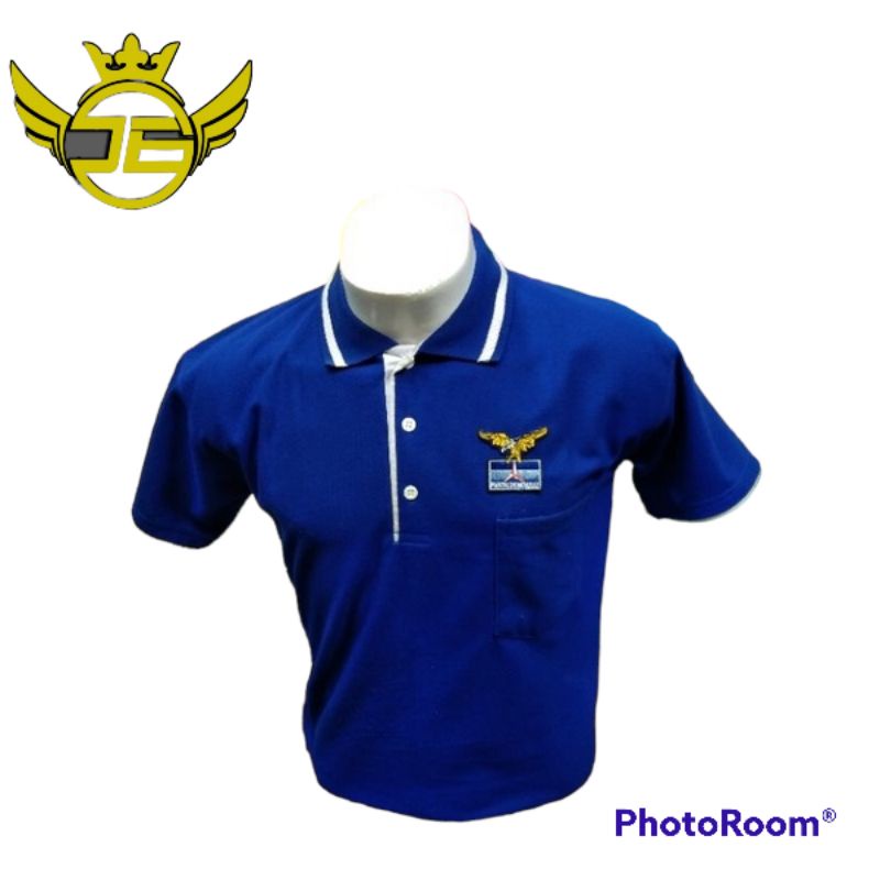 Kaos Partai DEMOKRAT