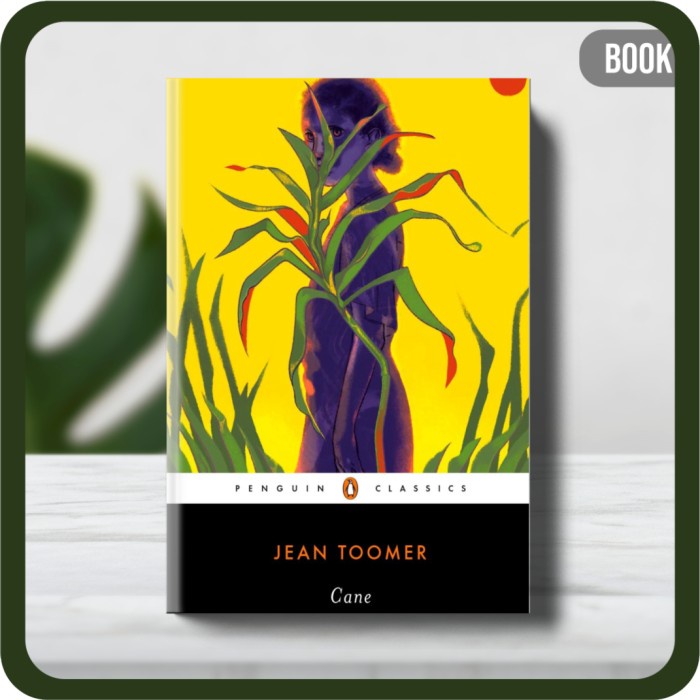 

Buku - Jean Toomer George B. Hutchinson Zinzi Clemmons Cane