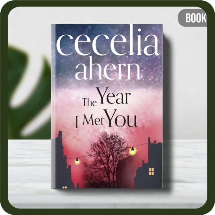 

Buku - The Year I Met You by Ahern Cecelia