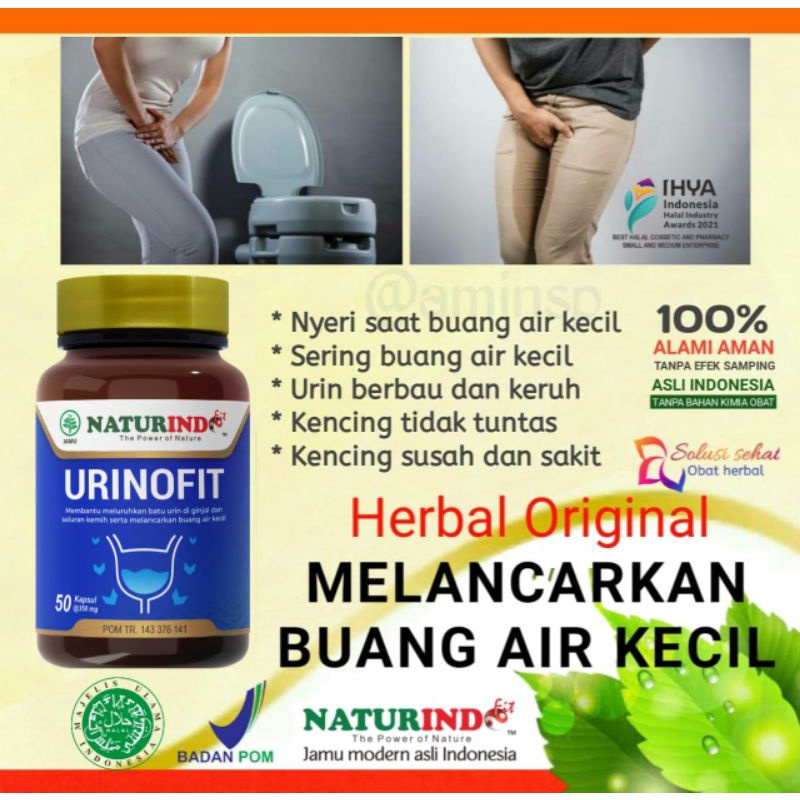 obat herbal spesial ginjal, kencing tidak tuntad, batu ginjal, kreatin tinggi