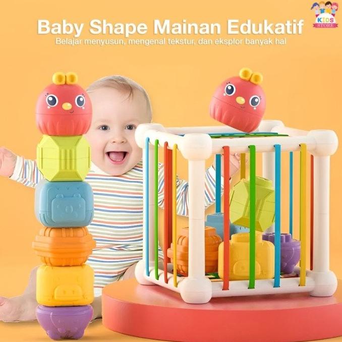 Mainan Edukasi Anak Explore Baby Shape Mainan Bayi 6-7-8 Bulan 1 Tahun