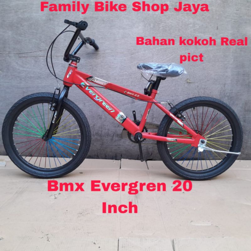 Sepeda Anak Bmx Evergreen B1 20 Inch