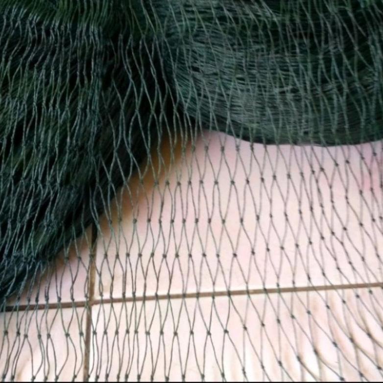 Model Baru jaring ayam jaring pagar ayam lebar 3 meter jaring ayam lebar 3x20 meter jaring kandang a