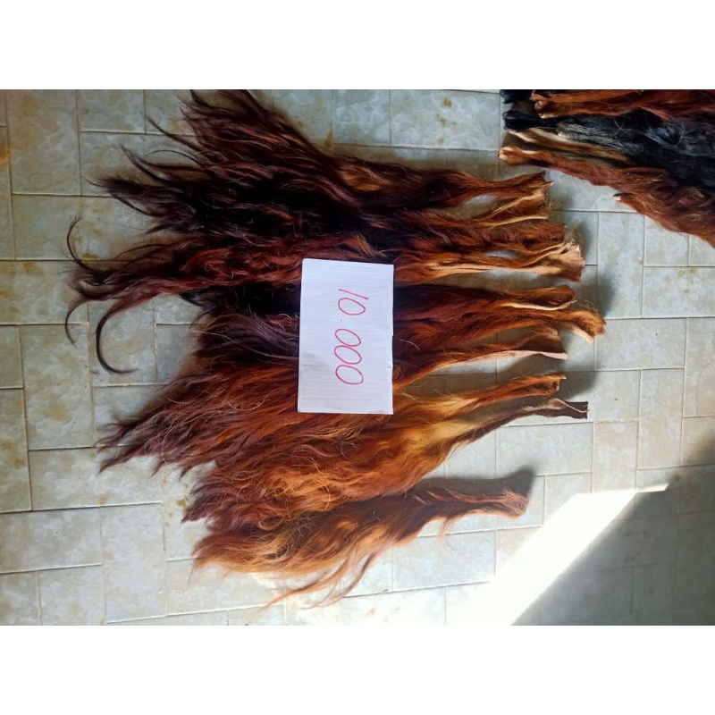 BACA DESKRIPSI Rambut Ekor/Gubat/Buntut Sapi Kering Superan tanpa garam (paling besar)