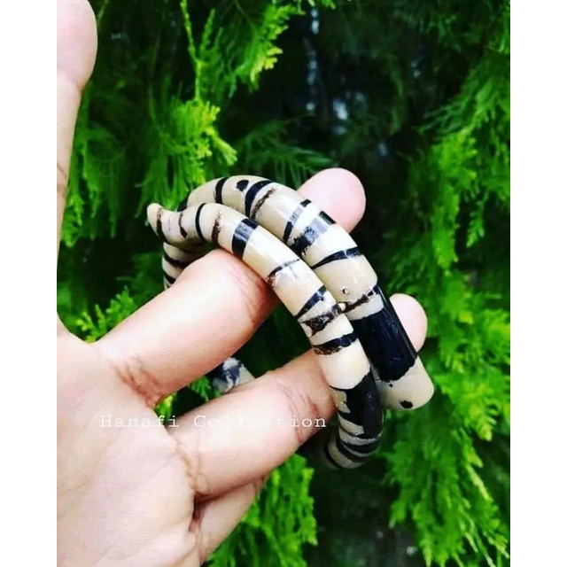 Akar Bahar Batu Gringsing Polos