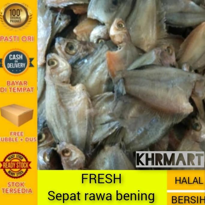 

Promo Ikan asin Sepat rawa bening-1kg KHR