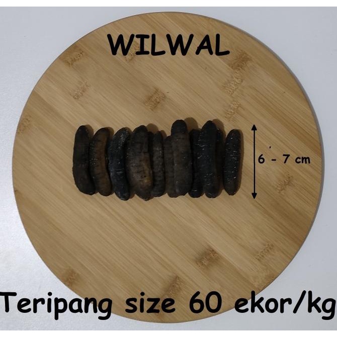 

Promo Teripang Gosok Haisom Kering Belitung Asli Berat 125 gram