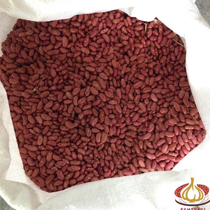 

Promo Kacang Merah Jogo 1 Sak Karung Ball 25 kg