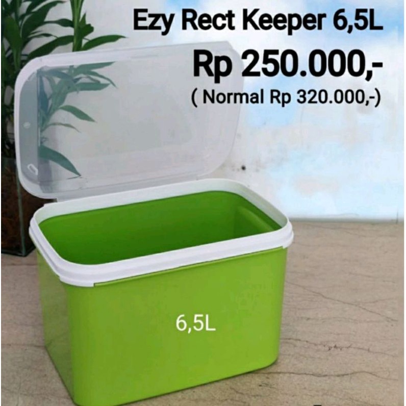 EZY Rect Keeper Tupperware