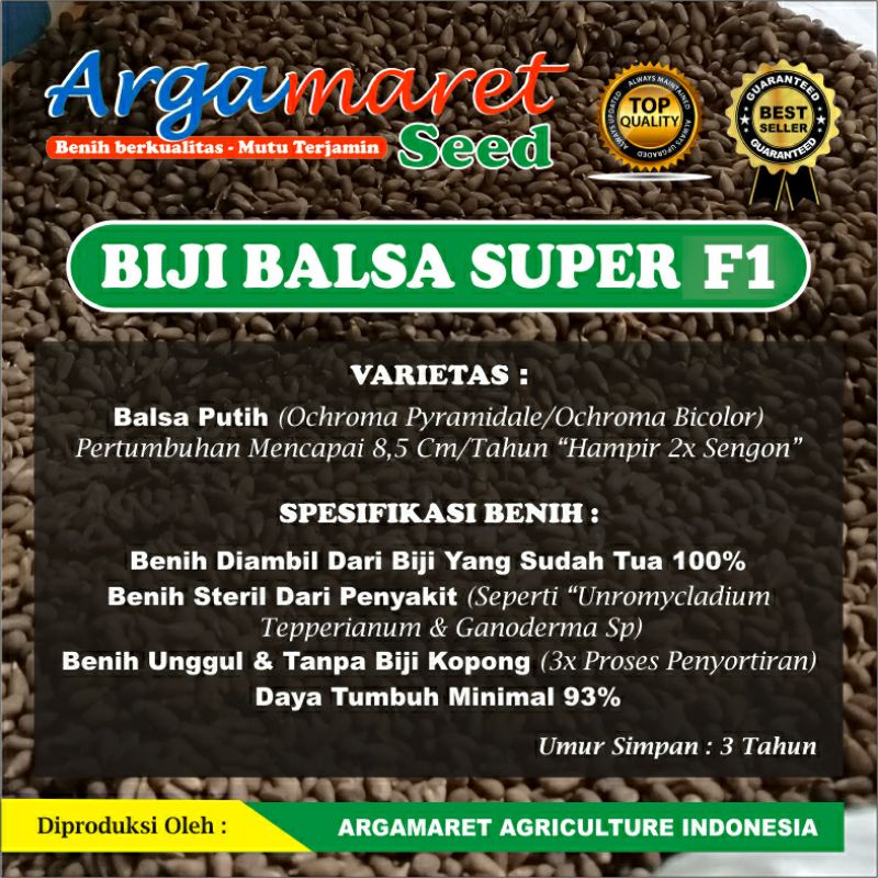 Bibit Biji Balsa Super F1 – Benih Pohon Kayu Ringan Cepat Tumbuh Kualitas Unggul