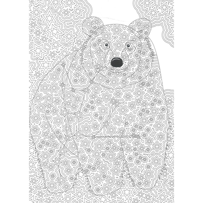 Diskon Spesial Fantastic Journey Among The Constellations Termurah