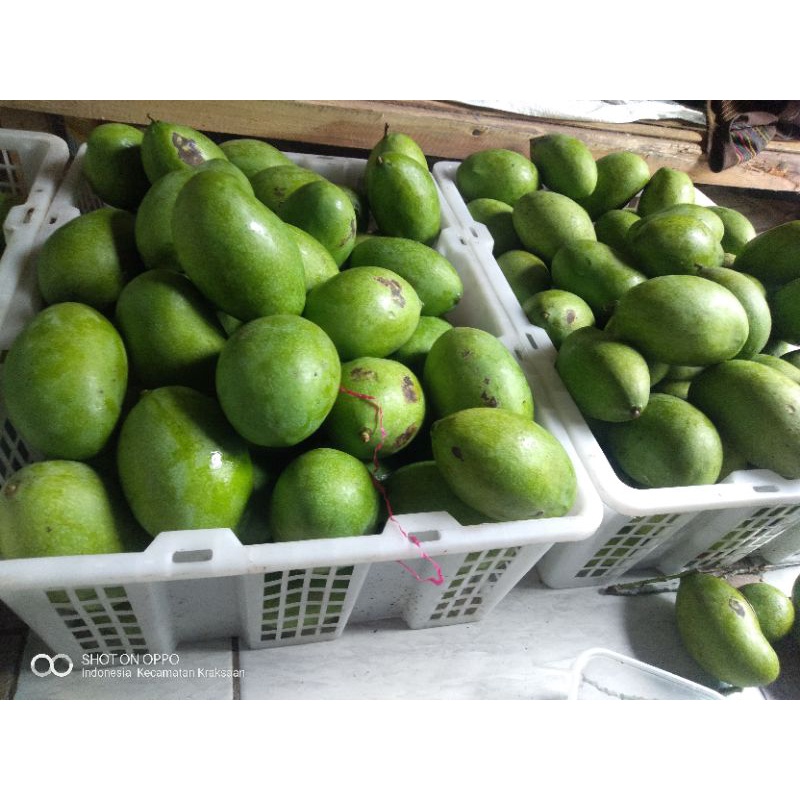 

MANGGA MUDA RUJAKAN 1KG