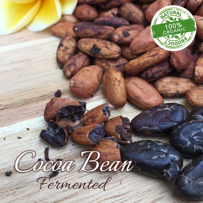 

RAW Cocoa Bean / Biji Kakao / Biji Cokelat fermented - 500gr