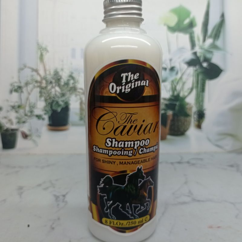 SHAMPOO KUDA CAVIAR 250 ML BPOM