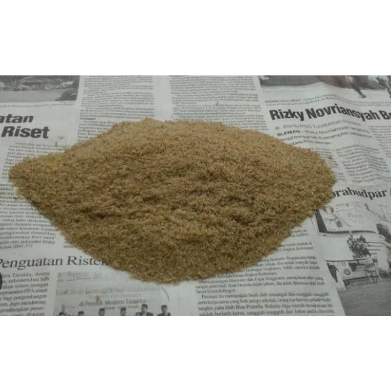 tj alam ( telur jangkrik alam kualitas super ) 1kg.