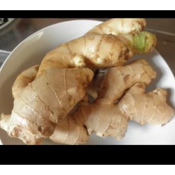 

JAHE GAJAH JAHE PUTIH TERBAIK 1kg [ TERLARIS BERKUALITAS ]