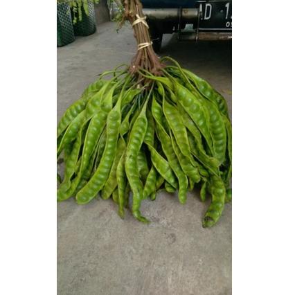 

[FLASH SALE !!] PETE SEGAR 20.000 (6 PAPAN) [KODE 93]