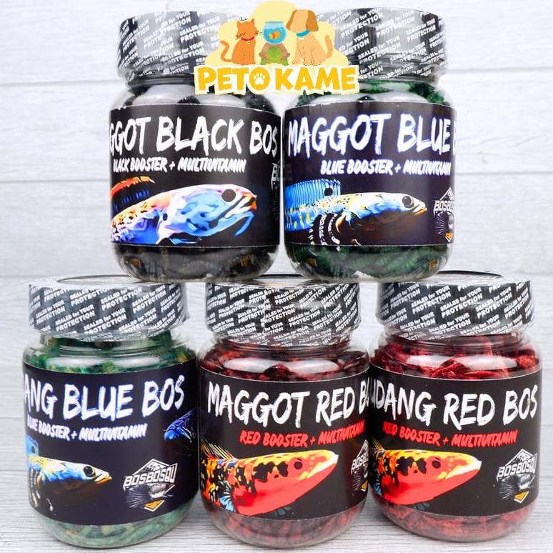 Kekinian Bos Bos Qu (PILIH DI VARIAN) Maggot Udang Red Blue Black | Pakan Ikan Channa Auranti Maru P