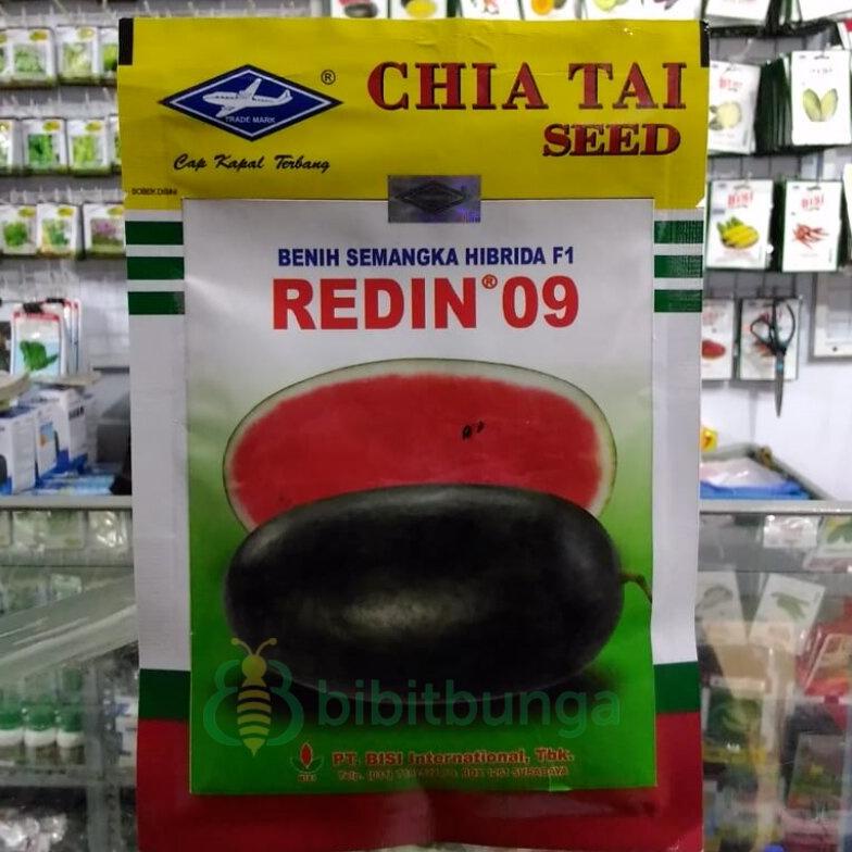 Benih Bibit Semangka Lonjong Inul REDIN 09 F1 20 gr Biji Merah Hibrida Non COD