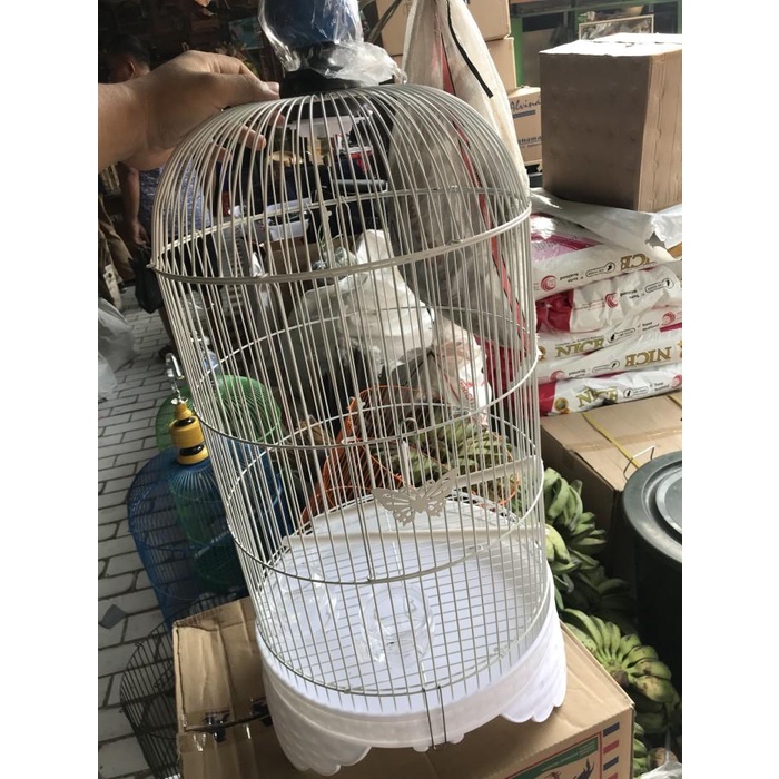 Terlaris Kandang Lovebird Sangkar Love Bird Merk Boom