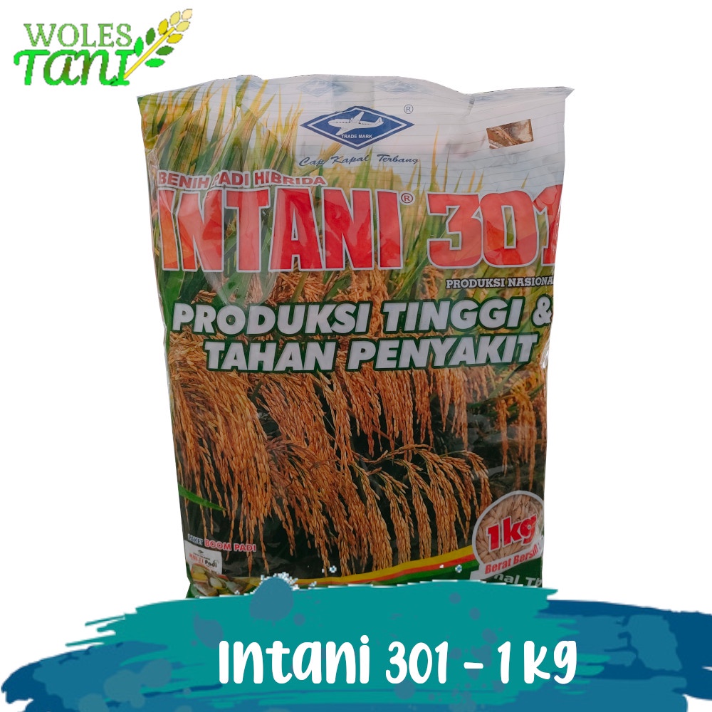 Benih Padi Hibrida Intani 301 1 Kg Mapan 05