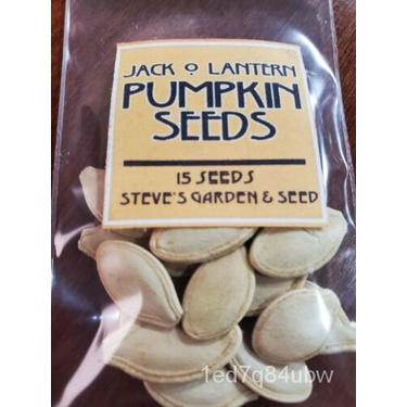 

์เ|/นด มDongkrak Bijiล/Lentera VariasiัBiji Labu Tidak Transgenik ธ็พุ15 QDUP