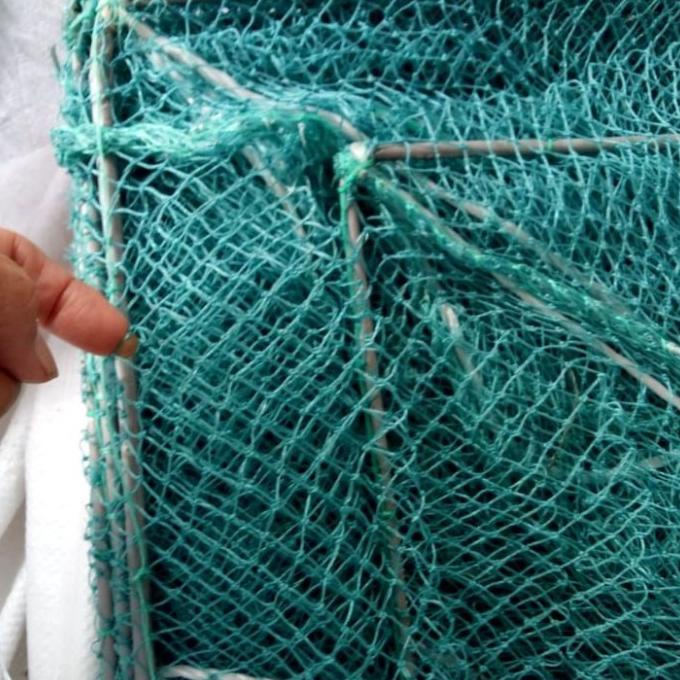 Bubu Naga Hijau 10m - 35x50cm - 5/8"