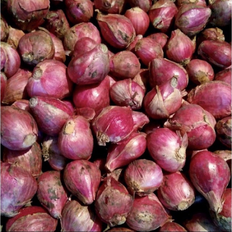 

Bawang Merah Asli Brebes 1 kg