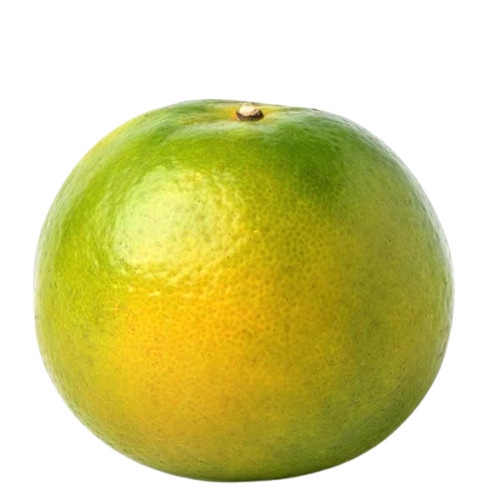 

Jeruk Pontianak Siam