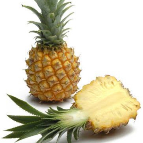 

Nanas Batu / Nanas Madu