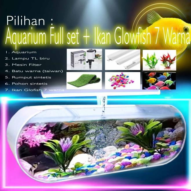 Akuarium Akrilik Cupang Mini Aquarium Glofish Fullset Plus 7 Glofish