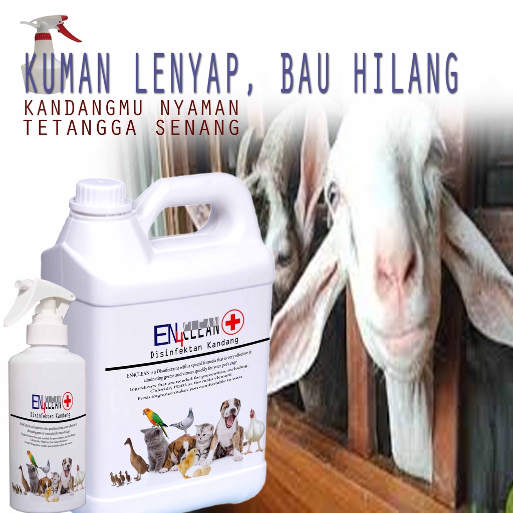 250ml-1L Spray bau kandang Desinfektan kandang kambing untuk menghilangkan kuman dan bau kotoran kambing EPS44 TK2