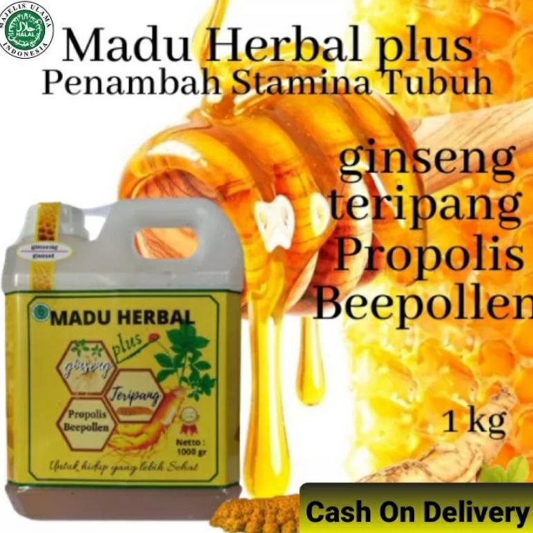 

Madu Ginseng Penambah Stamina | Madu Asli plus Ginseng, Teripang dan Propolis 1kg "Al Mar'ah" Best Seller