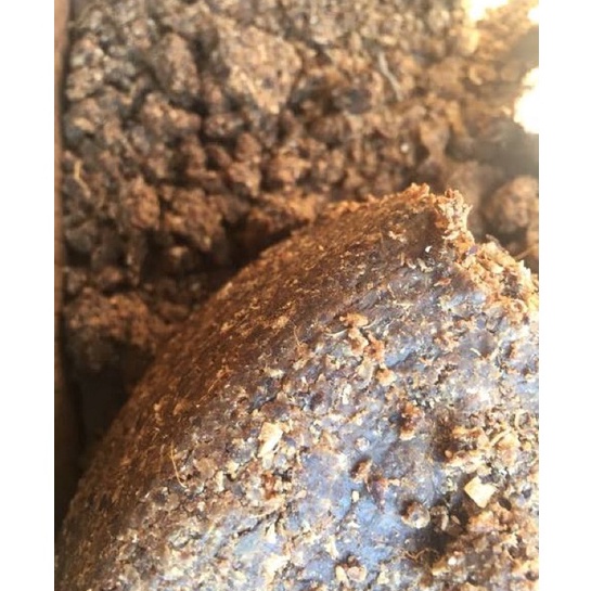 

Promo ✅ plik u bumbu khas aceh kuah pliek 1kilo