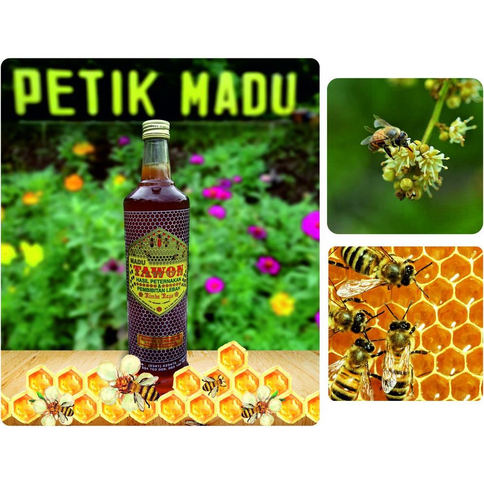 

Madu Murni Bunga Lengkeng 600 ml kemasan botol kaca Best Seller