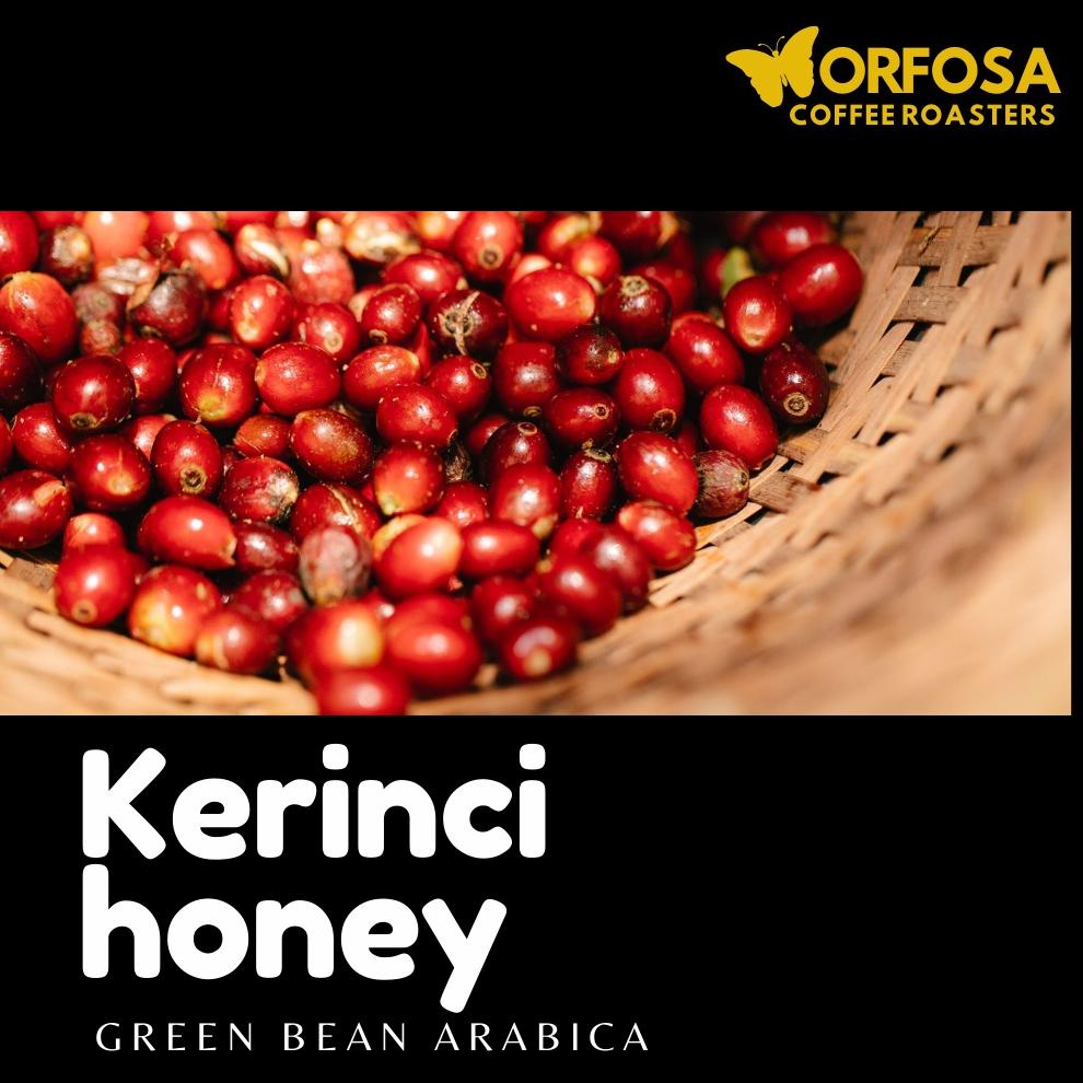 

GREEN BEAN KOPI ARABIKA KERINCI HONEY 1KG BIJI KOPI MENTAH KERINCI Best Seller