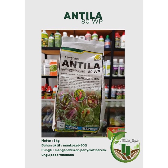 ANTILA 80 WP 1KG