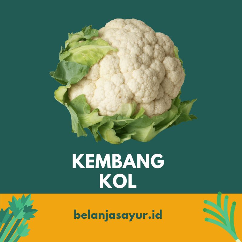 

KEMBANG KOL 500 gram