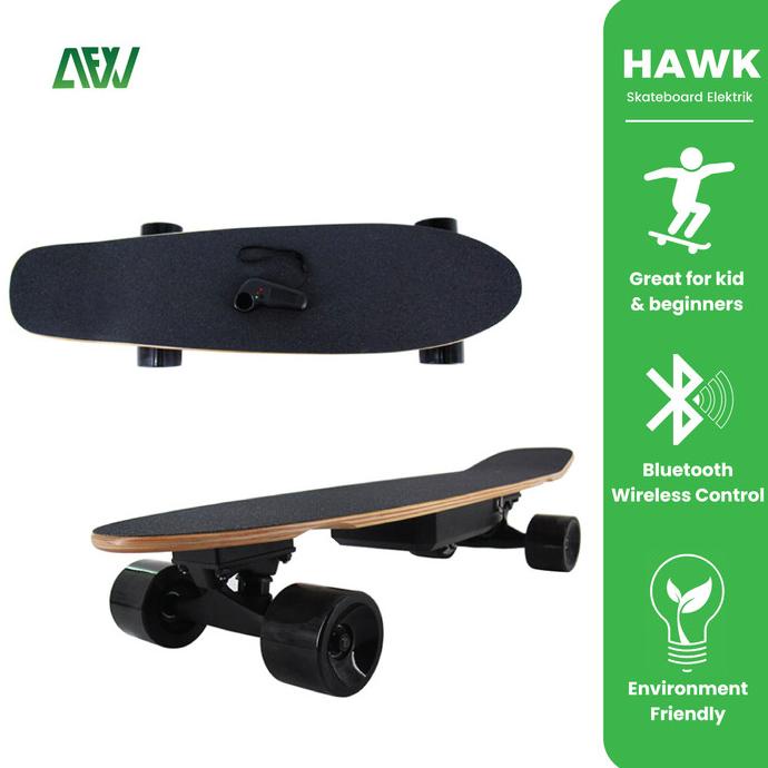 HAWK Skateboard Elektrik Electric Skateboard - AFW