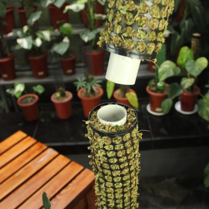 Turus Lumut 2 Meter / Moss pole 200 cm / Penyangga Tanaman Merambat - Model Jaring