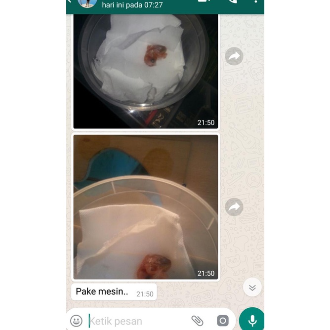 Mesin Tetas Penetas Telur Burung Otomatis