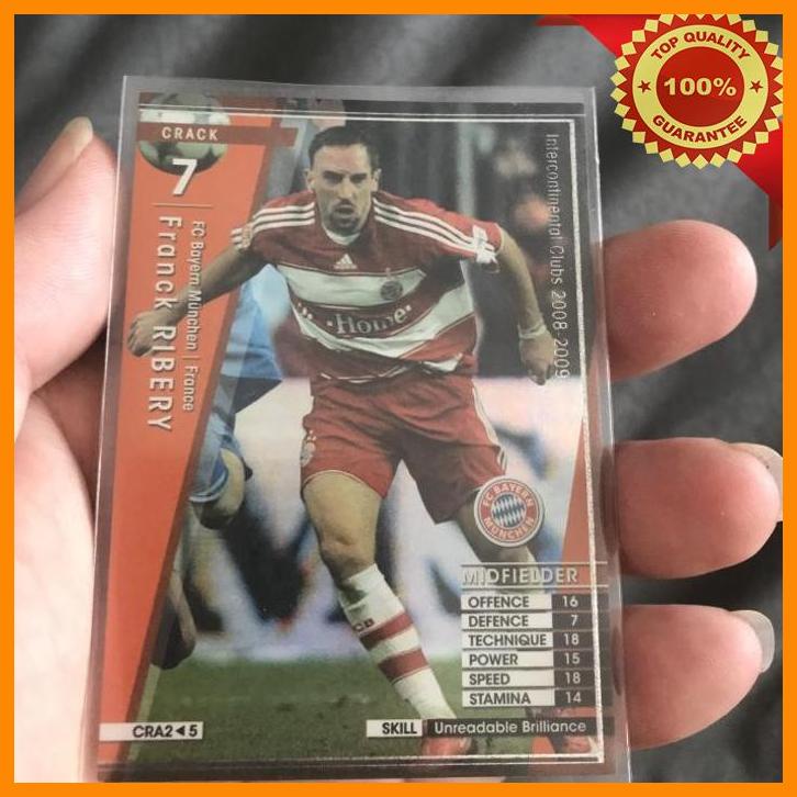 (soh) wccf 0809 cra frank ribery