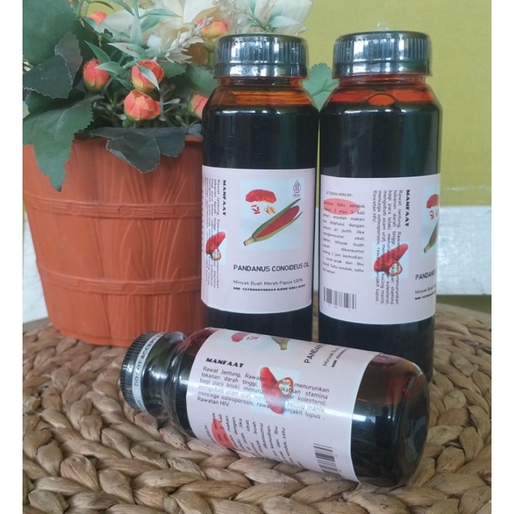 BUAH MERAH PAPUA | MINYAK BUAH MERAH GARANSI ORIGINAL