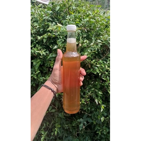 

Madu murni bunga randu 460ml
