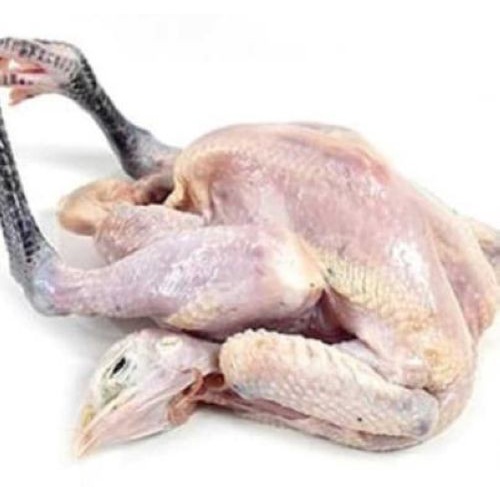 

Ayam Kampung Ternak / 700-800 gram
