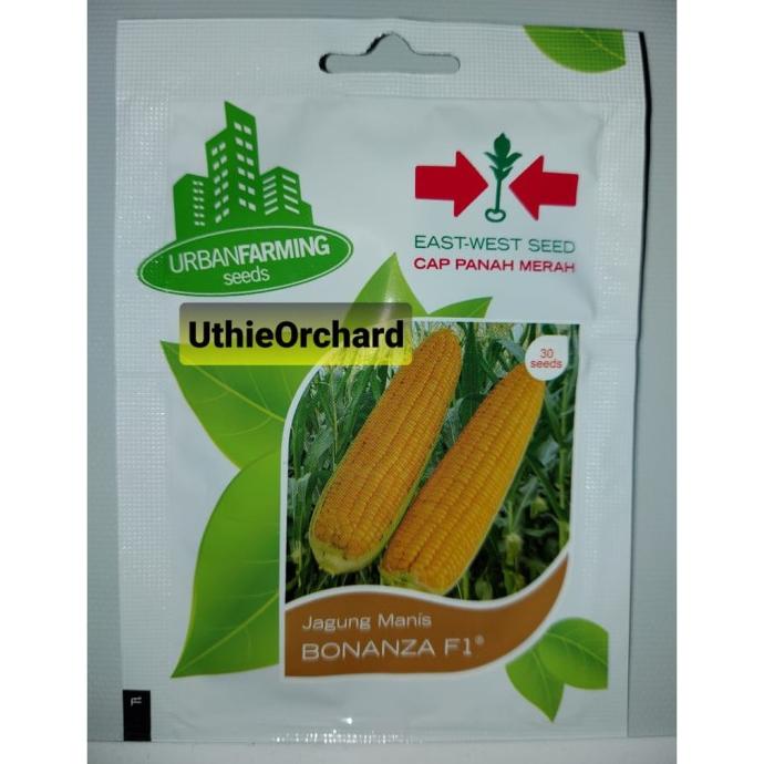 Termantab] Benih Panah Merah - Jagung Manis Bonanza F1