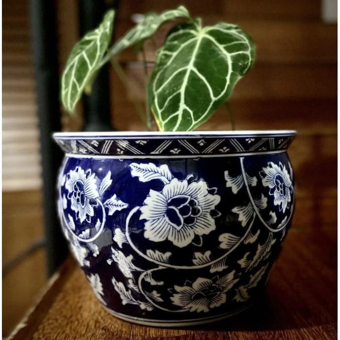 Terlaris Pot Bunga Keramik Cina Biru Dongker Bulat Tebal Besar Size No 1