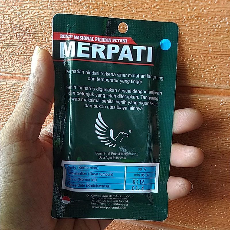 Benih Sayur Unggul Kangkung Citra isi 500 Biji Berkualitas
