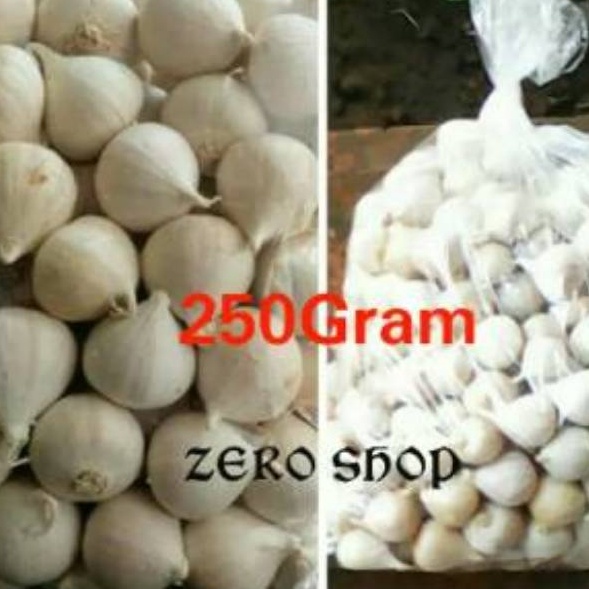 

➨Bestseller⋆➭ Q9AJB Bawang Putih Tunggal/Bawang Lanang Alami 250 GR Z94 Diskon