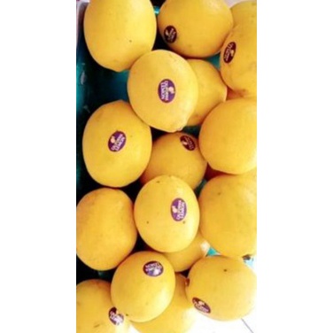

✔️ LEMON CALIFORNIA